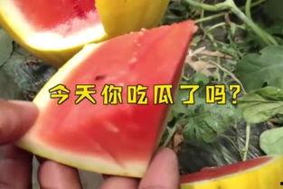 fun吃瓜官网  第3张