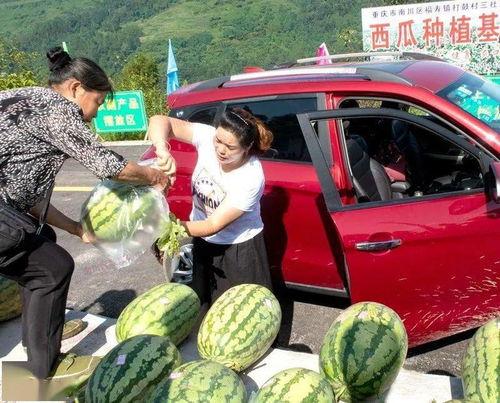 柴店岗吃瓜群众,吃瓜群众的欢乐盛宴  第1张