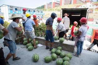 柴店岗吃瓜群众,吃瓜群众的欢乐盛宴  第3张