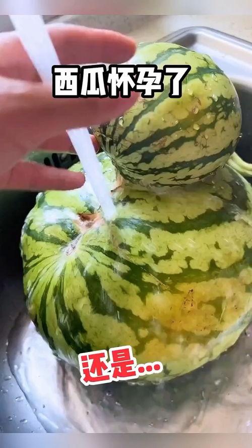 吃瓜爆笑视频集锦,笑料横生！吃瓜爆笑视频集锦大盘点  第2张