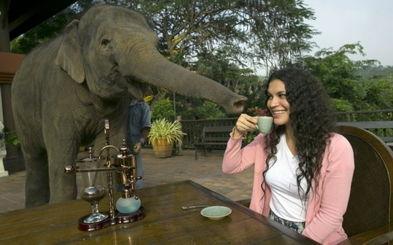 离奇吃瓜广告图片高清,惊悚离奇！高清吃瓜广告图揭秘神秘事件  第3张