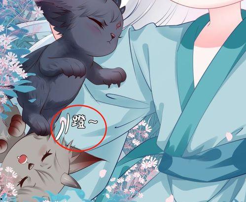 吃瓜小狐,揭秘娱乐圈那些不为人知的幕后故事  第2张