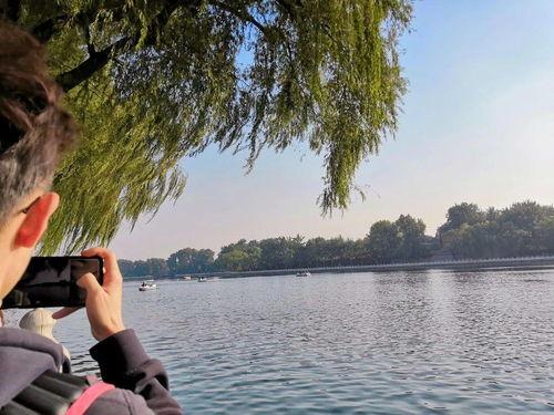 舟舟吃瓜录屏  第3张