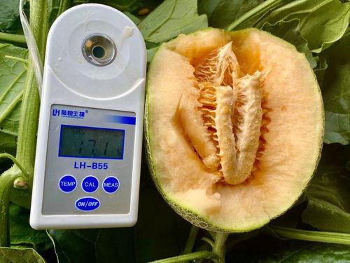 全网吃瓜合集,揭秘娱乐圈那些不为人知的幕后故事  第1张