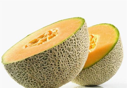 崽子吃哈密瓜  第2张