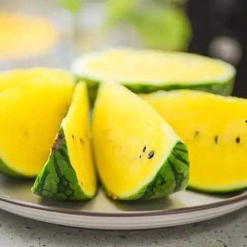 王庄镇吃瓜,瓜香四溢，共享夏日清凉时光  第3张