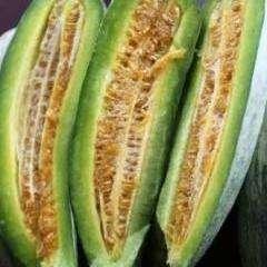 吃酥瓜长不长血糖,酥瓜食用与血糖生成关系探究  第2张