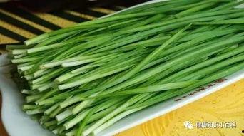 秋吃韭菜不吃瓜,韭菜飘香，瓜果暂别餐桌  第2张