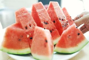 可妮吃瓜  第3张