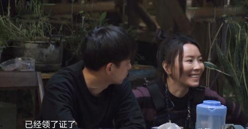 吃瓜观众的感情  第1张