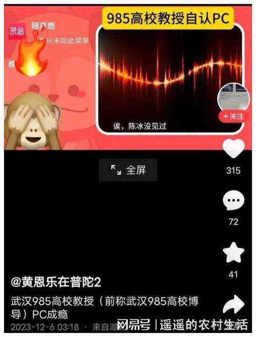 大瓜吃不停视频,揭秘娱乐圈幕后风云  第2张