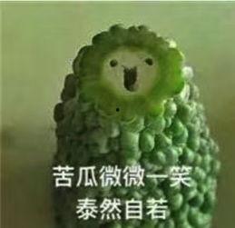 皱眉吃瓜的视频,揭秘网络热梗背后的趣味与思考  第1张