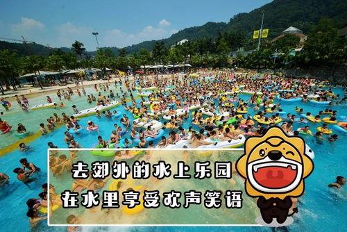 水上乐园吃瓜群众,吃瓜群众的热闹现场