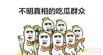 你是看花还是吃瓜,一场视觉与味蕾的盛宴