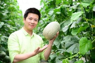 吃烧烤后吃哈密瓜行吗,烧烤后吃哈密瓜的适宜性探讨