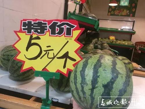 180公斤吃瓜,揭秘瓜界巨无霸的趣味生活
