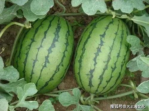 爬窗吃瓜ing,揭秘娱乐圈幕后风云  第2张