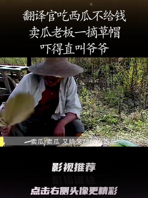 翻译官 吃瓜,揭秘幕后花絮与趣味瞬间 第2张 翻译官 吃瓜,揭秘幕后花絮与趣味瞬间 第2张