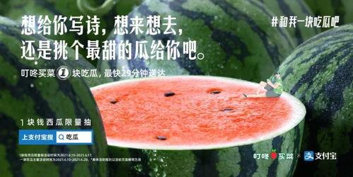 吃的什么瓜情话 第2张 吃的什么瓜情话 第2张