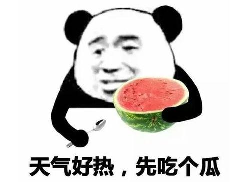 在线吃瓜女孩表情包,网络时代的幽默风向标  第1张