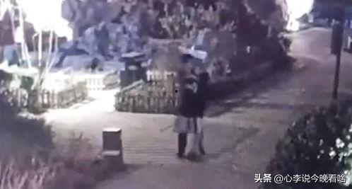 甘肃老街视频吃瓜,一网打尽的吃瓜盛宴  第2张
